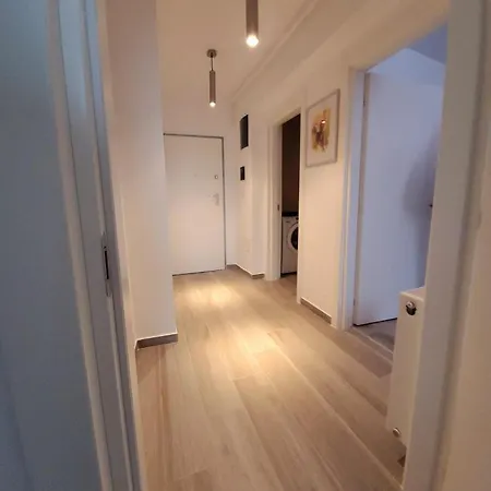 86 Nicolea Labis Coresi Brașov